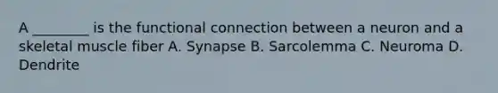 A ________ is the functional connection between a neuron and a skeletal muscle fiber A. Synapse B. Sarcolemma C. Neuroma D. Dendrite