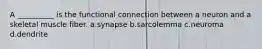 A __________ is the functional connection between a neuron and a skeletal muscle fiber. a.synapse b.sarcolemma c.neuroma d.dendrite