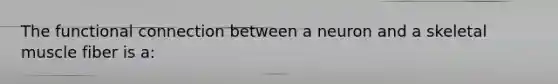 The functional connection between a neuron and a skeletal muscle fiber is a: