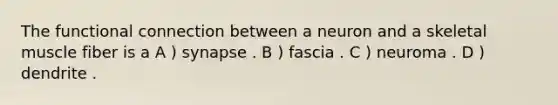 The functional connection between a neuron and a skeletal muscle fiber is a A ) synapse . B ) fascia . C ) neuroma . D ) dendrite .