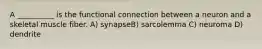 A __________ is the functional connection between a neuron and a skeletal muscle fiber. A) synapseB) sarcolemma C) neuroma D) dendrite