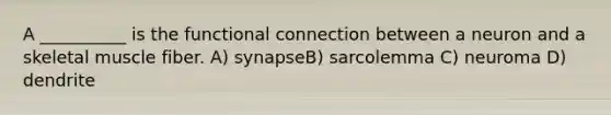 A __________ is the functional connection between a neuron and a skeletal muscle fiber. A) synapseB) sarcolemma C) neuroma D) dendrite