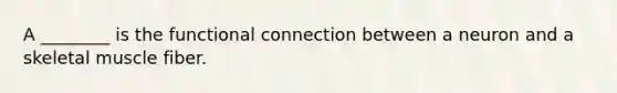 A ________ is the functional connection between a neuron and a skeletal muscle fiber.