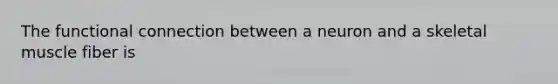 The functional connection between a neuron and a skeletal muscle fiber is