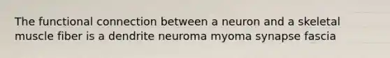 The functional connection between a neuron and a skeletal muscle fiber is a dendrite neuroma myoma synapse fascia