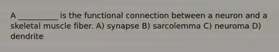 A __________ is the functional connection between a neuron and a skeletal muscle fiber. ​A) synapse​ ​B) sarcolemma ​C) neuroma ​D) dendrite