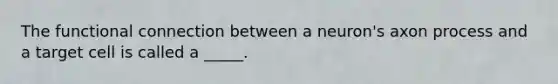 The functional connection between a neuron's axon process and a target cell is called a _____.