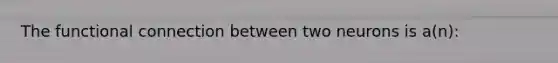 The functional connection between two neurons is a(n):