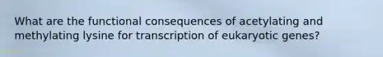 What are the functional consequences of acetylating and methylating lysine for transcription of eukaryotic genes?