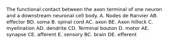 The functional contact between the axon terminal of one neuron and a downstream neuronal cell body. A. Nodes de Ranvier AB. effector BD. soma B. spinal cord AC. axon BE. Axon hillock C. myelination AD. dendrite CD. Terminal bouton D. motor AE. synapse CE. afferent E. sensory BC. brain DE. efferent