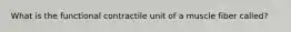 What is the functional contractile unit of a muscle fiber called?