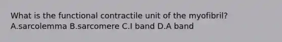 What is the functional contractile unit of the myofibril? A.sarcolemma B.sarcomere C.I band D.A band