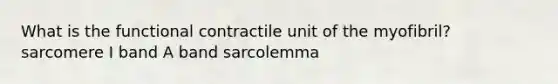 What is the functional contractile unit of the myofibril? sarcomere I band A band sarcolemma