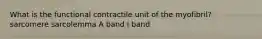 What is the functional contractile unit of the myofibril? sarcomere sarcolemma A band I band