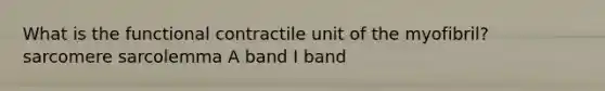 What is the functional contractile unit of the myofibril? sarcomere sarcolemma A band I band