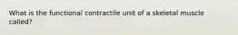 What is the functional contractile unit of a skeletal muscle called?