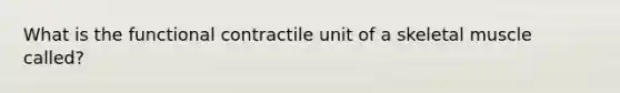 What is the functional contractile unit of a skeletal muscle called?