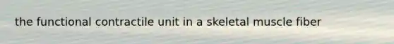 the functional contractile unit in a skeletal muscle fiber