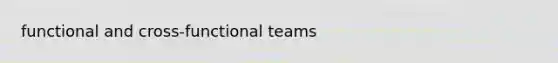 functional and cross-functional teams