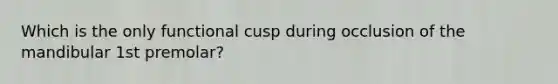 Which is the only functional cusp during occlusion of the mandibular 1st premolar?