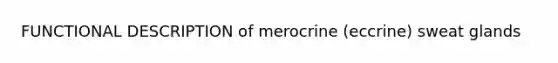 FUNCTIONAL DESCRIPTION of merocrine (eccrine) sweat glands