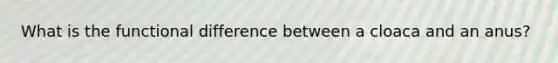 What is the functional difference between a cloaca and an anus?