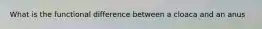 What is the functional difference between a cloaca and an anus