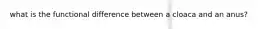 what is the functional difference between a cloaca and an anus?