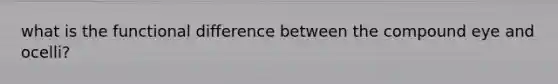 what is the functional difference between the compound eye and ocelli?