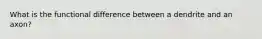What is the functional difference between a dendrite and an axon?
