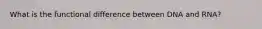 What is the functional difference between DNA and RNA?