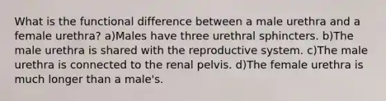 What is the functional difference between a male urethra and a female urethra? a)Males have three urethral sphincters. b)The male urethra is shared with the reproductive system. c)The male urethra is connected to the renal pelvis. d)The female urethra is much longer than a male's.