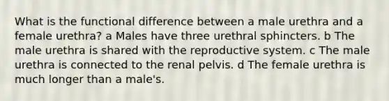 What is the functional difference between a male urethra and a female urethra? a Males have three urethral sphincters. b The male urethra is shared with the reproductive system. c The male urethra is connected to the renal pelvis. d The female urethra is much longer than a male's.