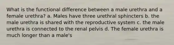 What is the functional difference between a male urethra and a female urethra? a. Males have three urethral sphincters b. the male urethra is shared with the reproductive system c. the male urethra is connected to the renal pelvis d. The female urethra is much longer than a male's