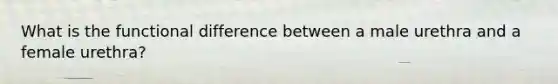 What is the functional difference between a male urethra and a female urethra?