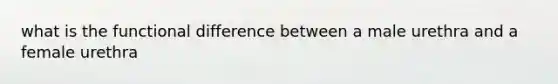 what is the functional difference between a male urethra and a female urethra