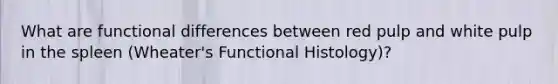 What are functional differences between red pulp and white pulp in the spleen (Wheater's Functional Histology)?