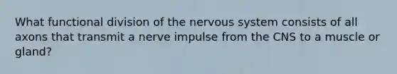 What functional division of the nervous system consists of all axons that transmit a nerve impulse from the CNS to a muscle or gland?