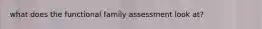 what does the functional family assessment look at?