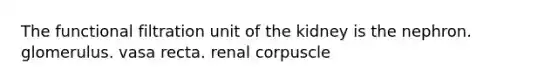 The functional filtration unit of the kidney is the nephron. glomerulus. vasa recta. renal corpuscle