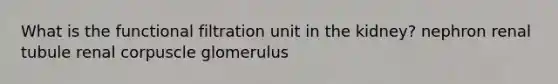 What is the functional filtration unit in the kidney? nephron renal tubule renal corpuscle glomerulus