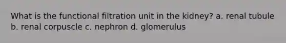 What is the functional filtration unit in the kidney? a. renal tubule b. renal corpuscle c. nephron d. glomerulus