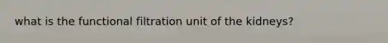 what is the functional filtration unit of the kidneys?