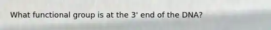 What functional group is at the 3' end of the DNA?