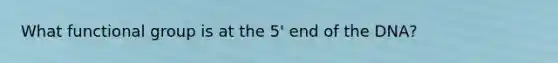 What functional group is at the 5' end of the DNA?