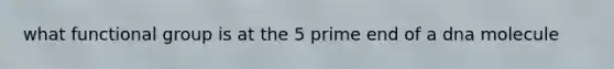 what functional group is at the 5 prime end of a dna molecule
