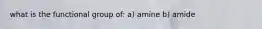 what is the functional group of: a) amine b) amide