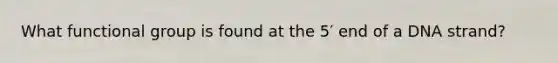 What functional group is found at the 5′ end of a DNA strand?