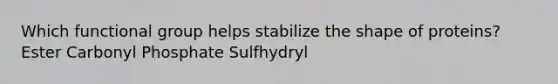 Which functional group helps stabilize the shape of proteins? Ester Carbonyl Phosphate Sulfhydryl