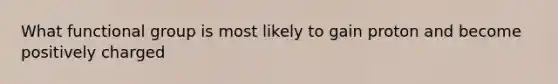 What functional group is most likely to gain proton and become positively charged